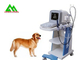 O varredor veterinário completo portátil do ultrassom de Digitas para o gado crocita animal do cão fornecedor